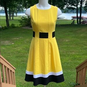 Calvin Klein stunning fit n flare dress S